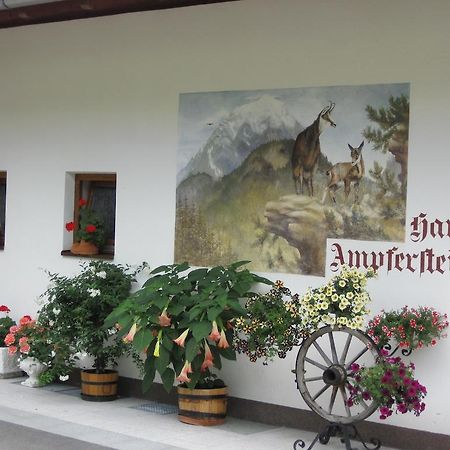 Апартаменты Haus Ampferstein Тельфес-им-Штубай Экстерьер фото